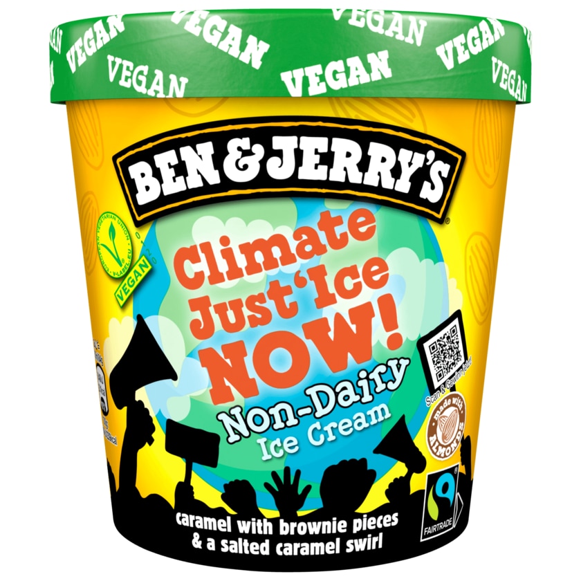 Ben & Jerry's Eis Climate Just'Ice Now! vegan 465ml